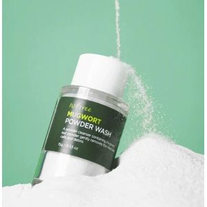 Isntree Mugwort Powder Wash 15g